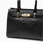 Bolso Parigi